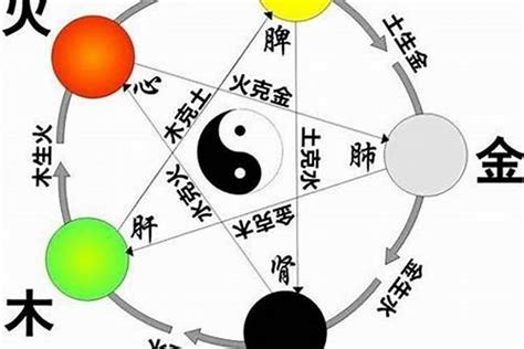 五行属水的号码|五行属水的手机号 五行缺水手机号最吉利的数字——天玄网